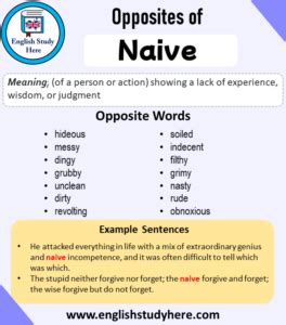 another word for naive person.